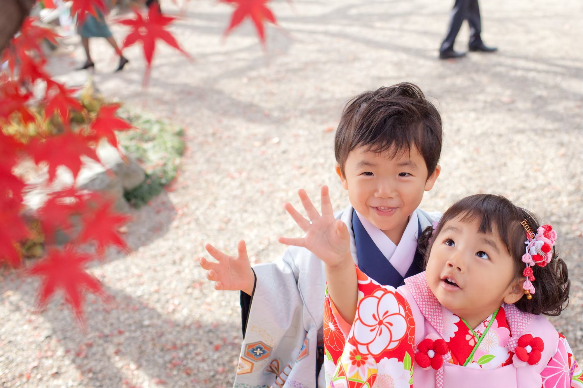 七五三 お宮参り 2019年10月11月土日祝スケジュール モメントエテルノ 神戸 大阪 京都 尼崎の出張写真撮影カメラマン 座間雄貴